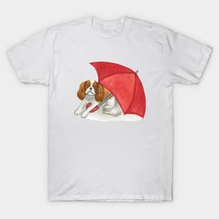 Cavalier King Charles Spaniel - Red Umbrella Blenheim T-Shirt